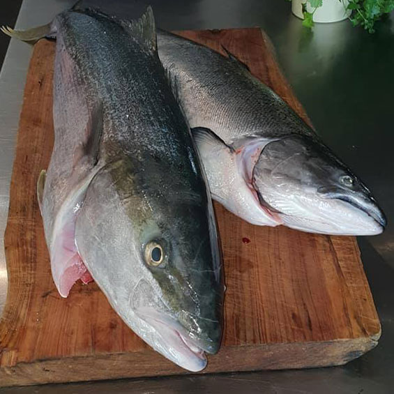Fresh fish